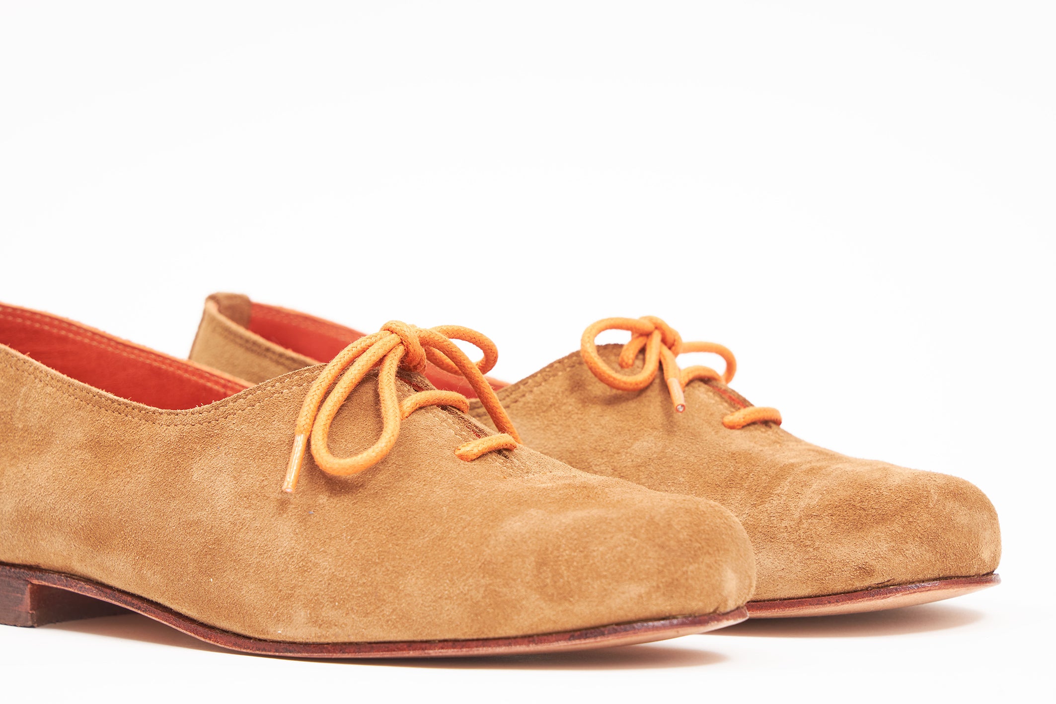 Josephine Camel