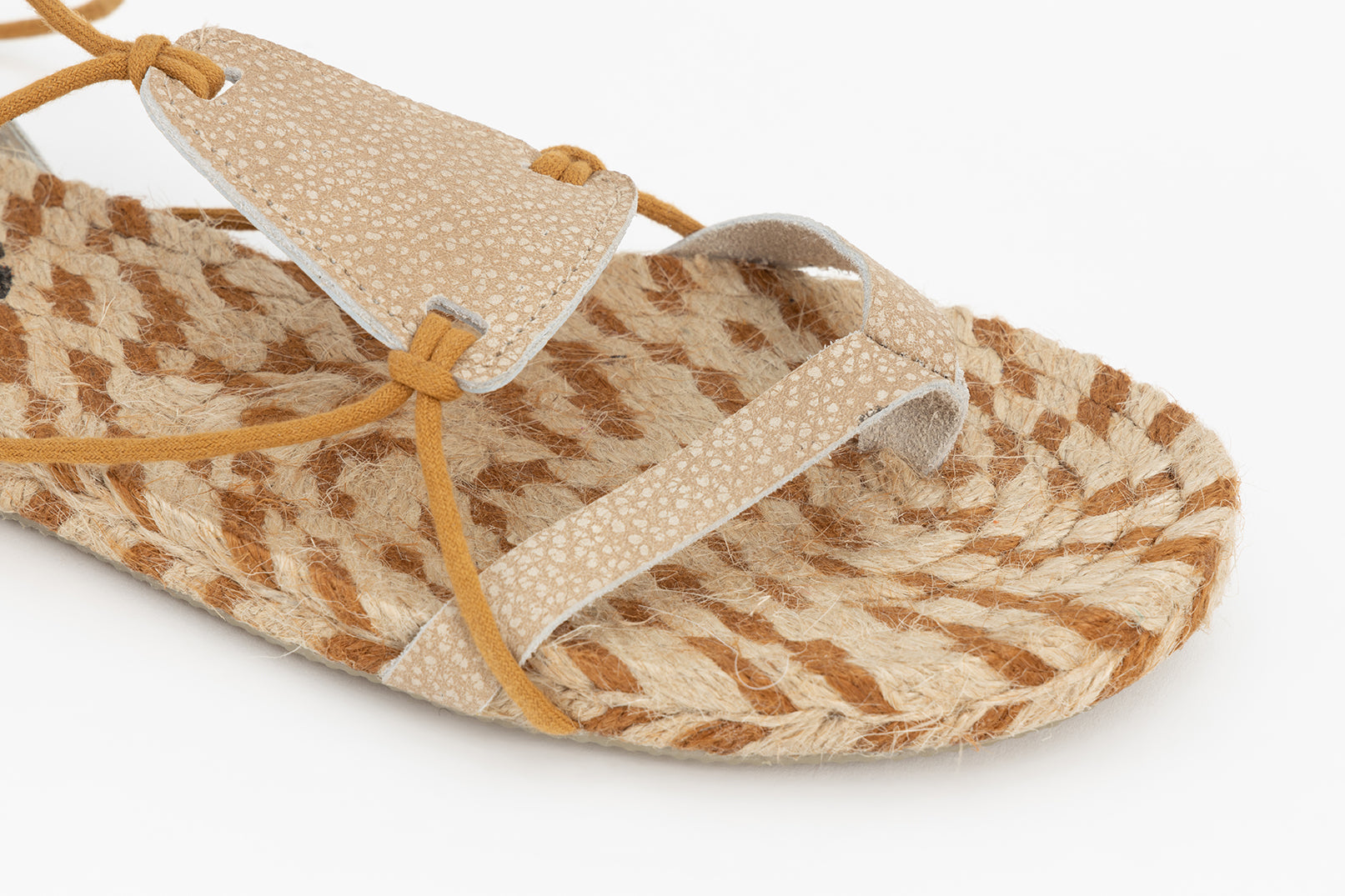 Pauline Camel